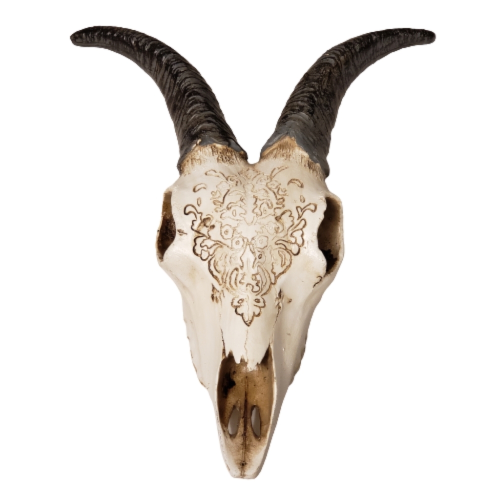 SALE: Skull Accent